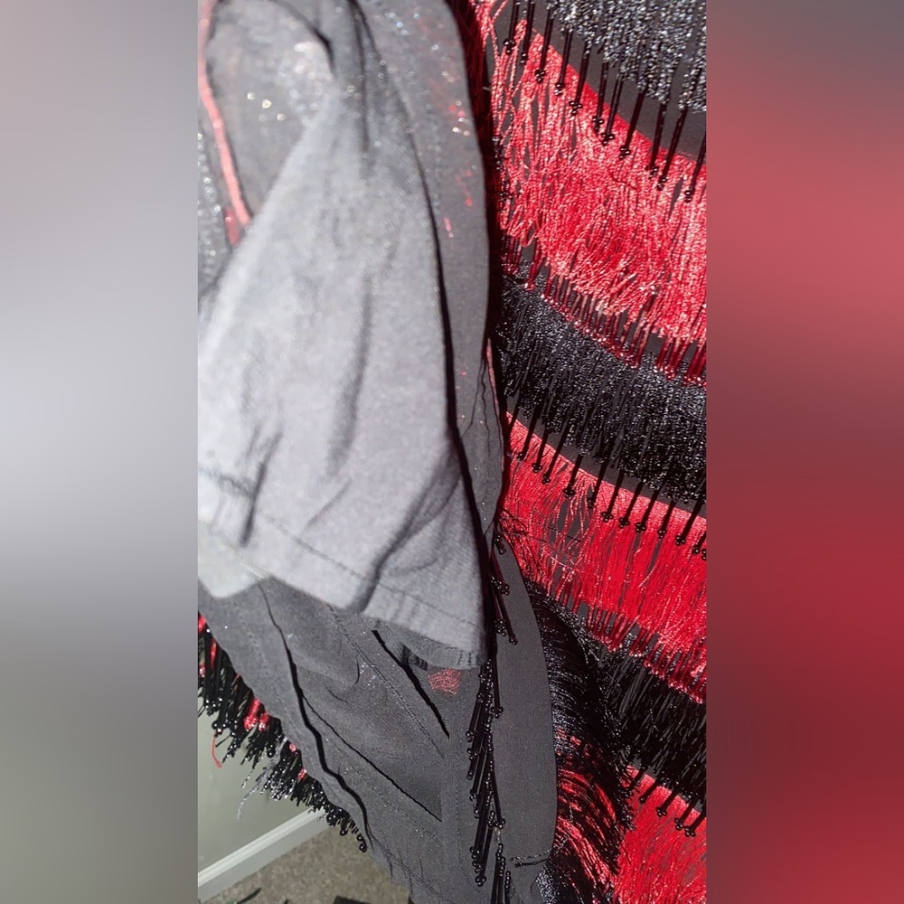 Alice Olivia Red and Black Dress with Mesh and Zipper Back - Picture 11 of 12